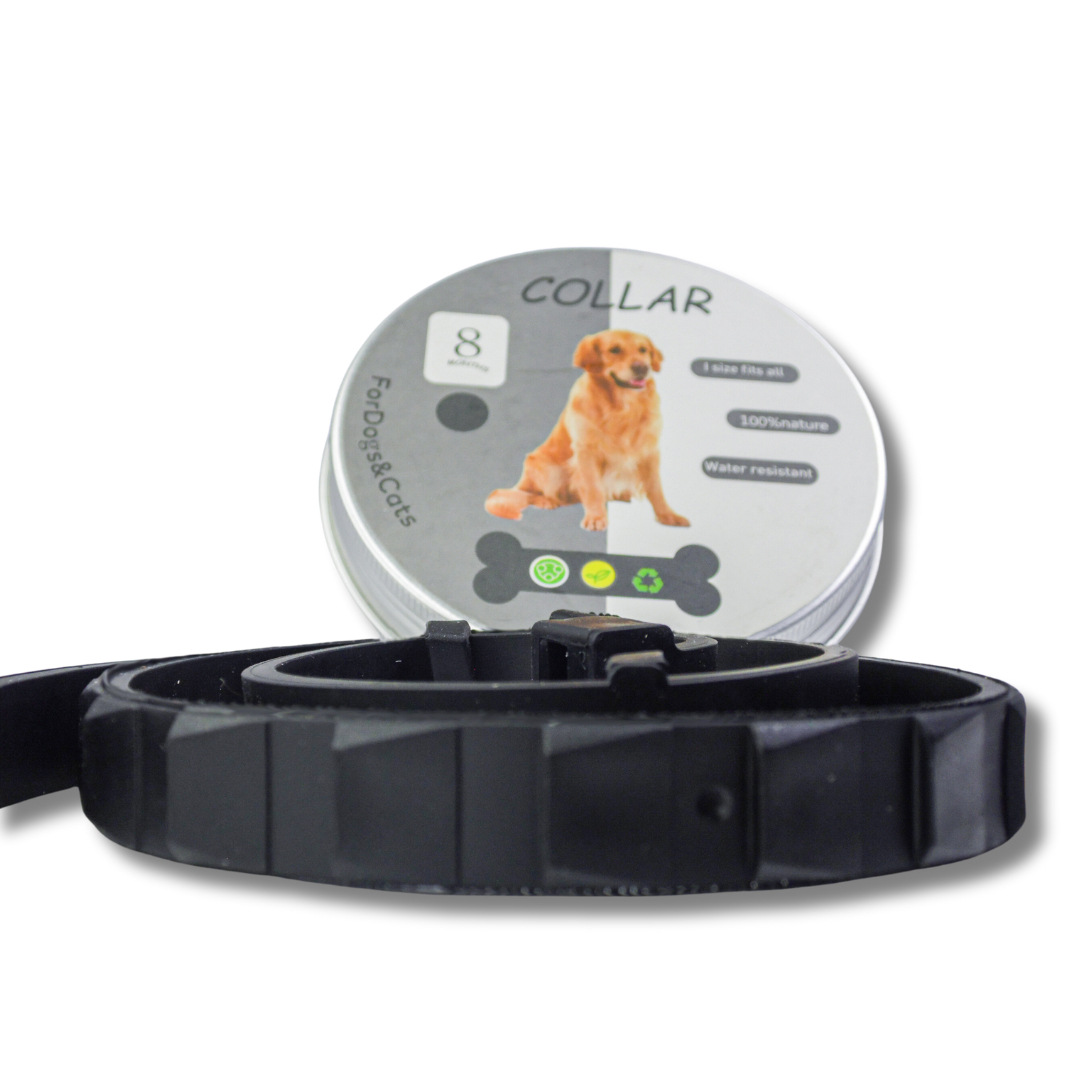 Coleira Antiparasit¨¢ria - C?es e Gatos
